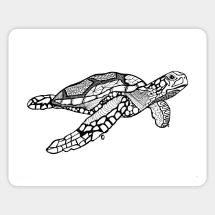 Turtle Turtle. Sticker